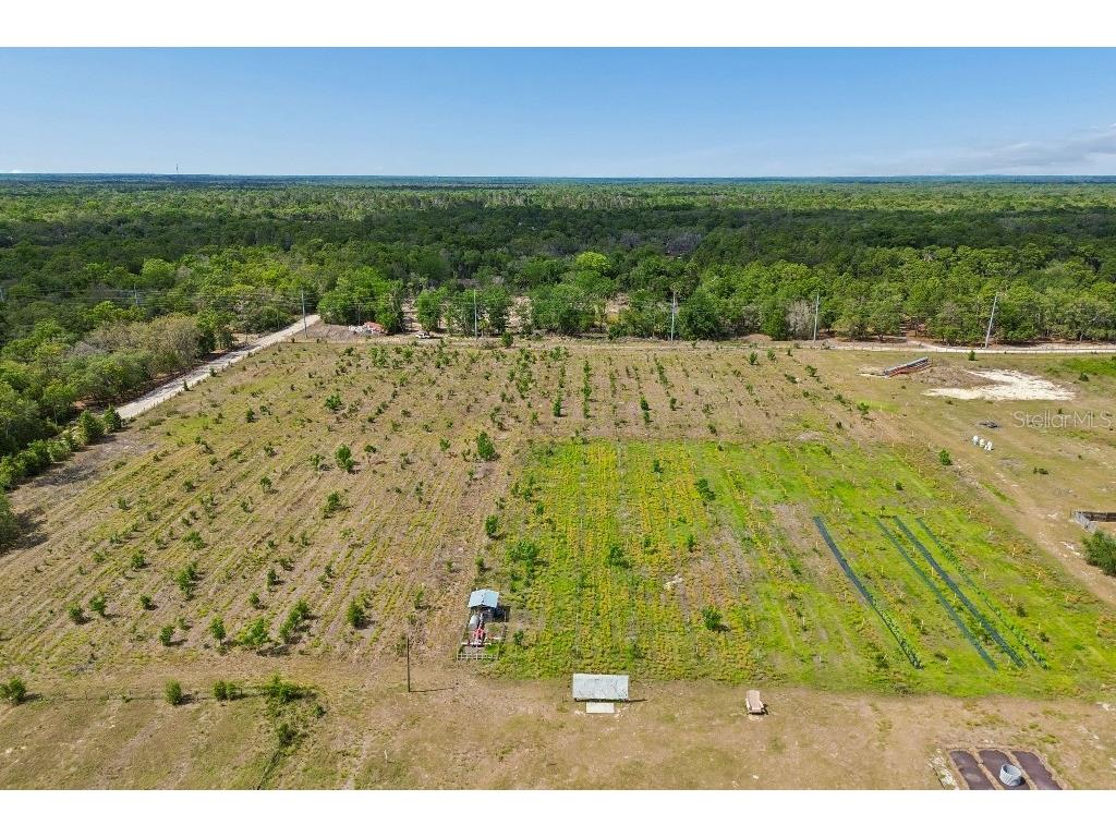 14320 Family Trail Hudson FL 34669 TB8501552 image64