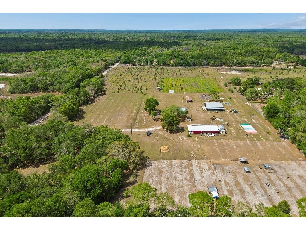 14320 Family Trail Hudson FL 34669 TB8501552 image69