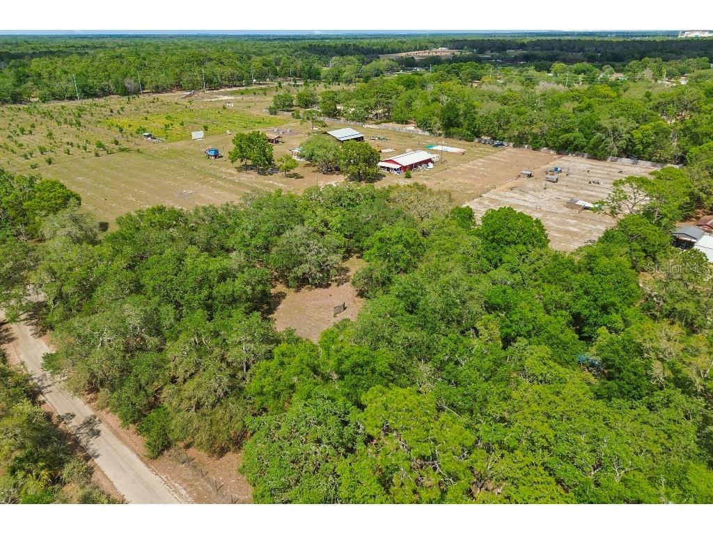 14320 Family Trail Hudson FL 34669 TB8501552 image71
