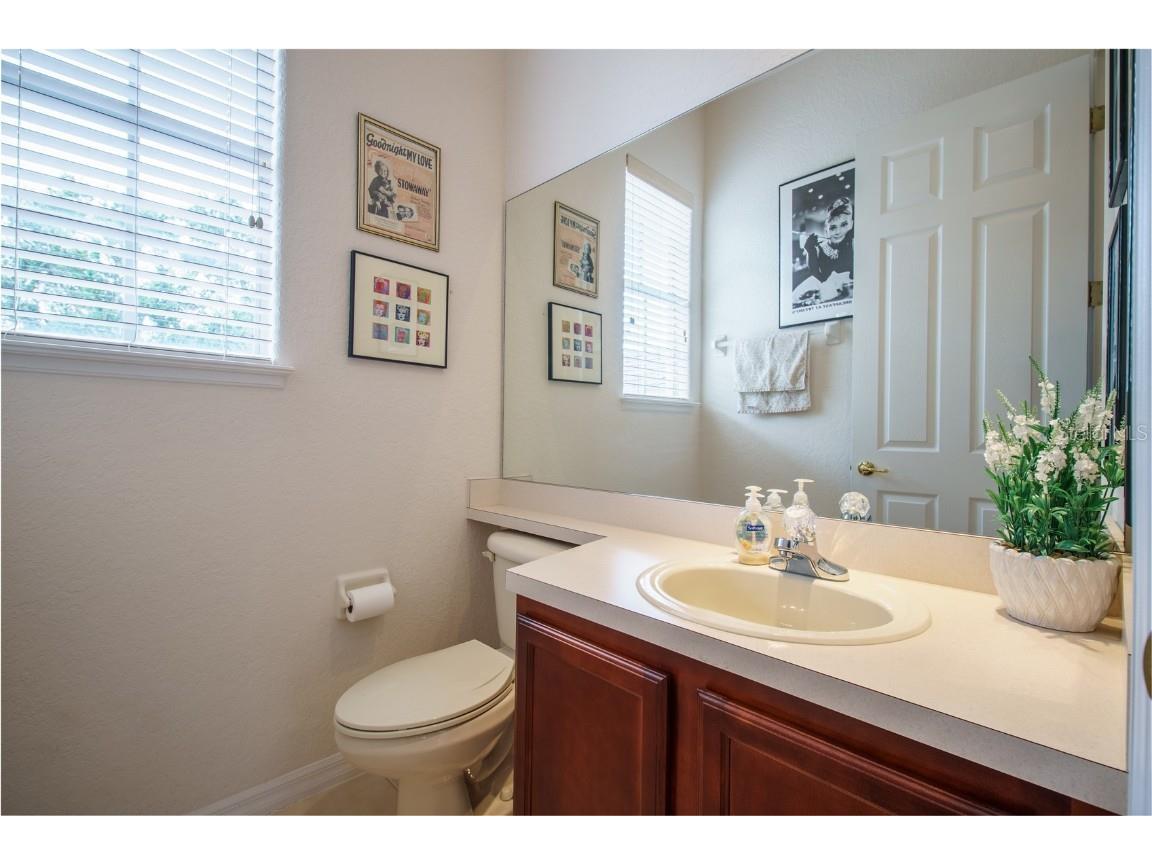 14321 Hampshire Bay Circle Winter Garden FL 34787 O6339534 image33