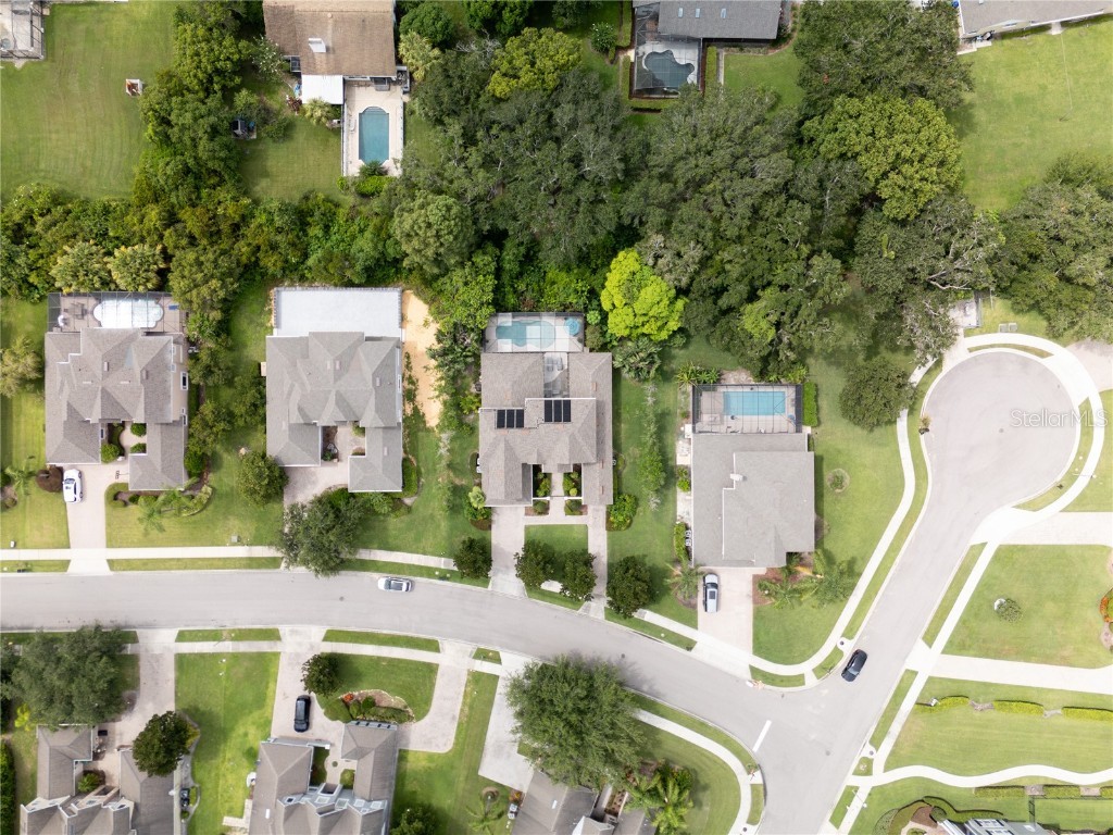 14321 Hampshire Bay Circle Winter Garden FL 34787 O6339534 image58