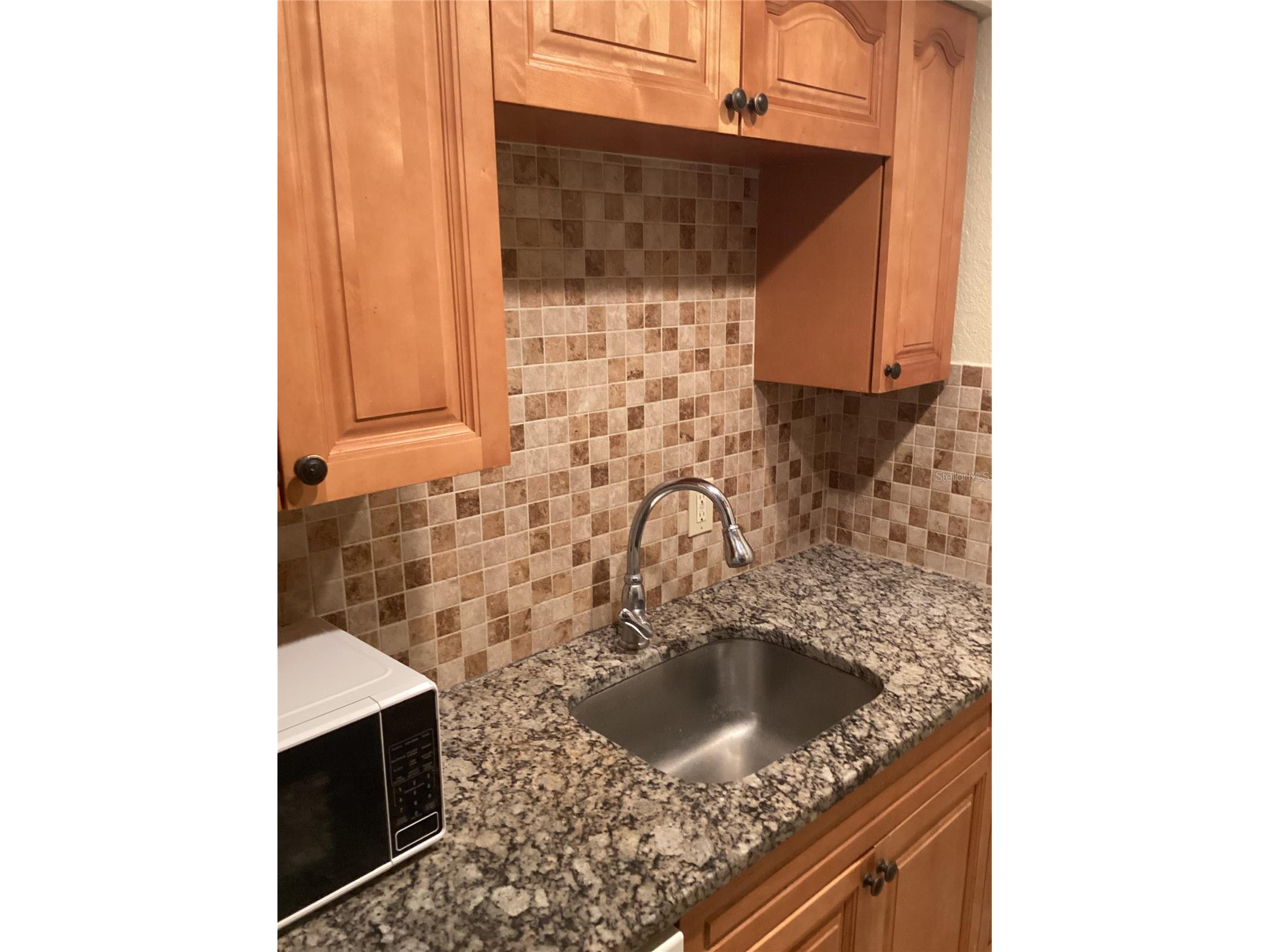 14321 Hanging Moss Circle #101 Tampa FL 33613 TB8498088 image9