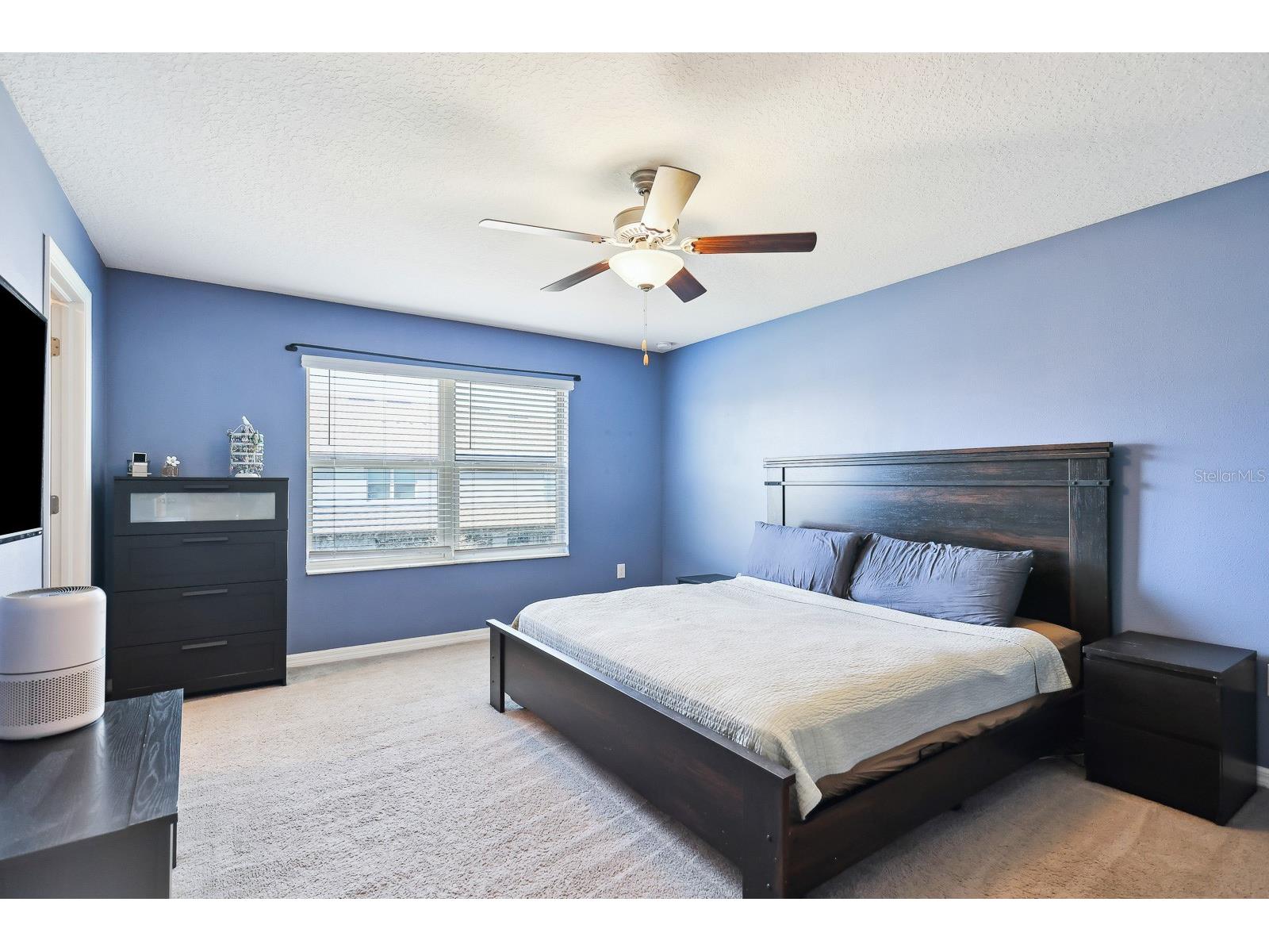 14323 Easy Goer Street Ruskin FL 33573 TB8462858 image13