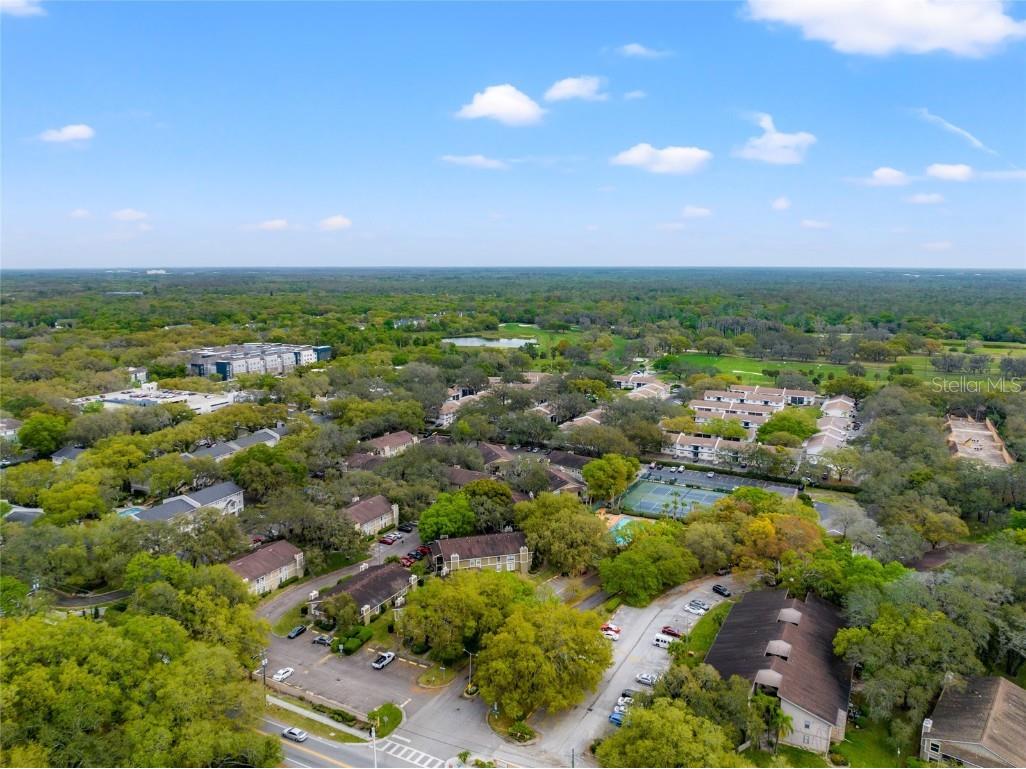 14323 Hanging Moss Circle #102 Tampa FL 33613 TB8315520 image16