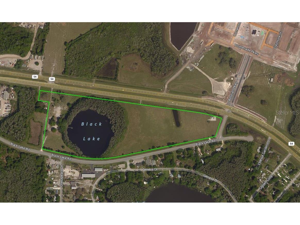 14325 Black Lake Road Odessa FL 33556 W7867297 image1