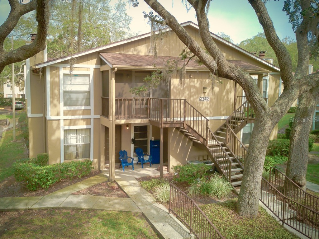 14325 Hanging Moss Circle #102 Tampa FL 33613 T3465534 image1