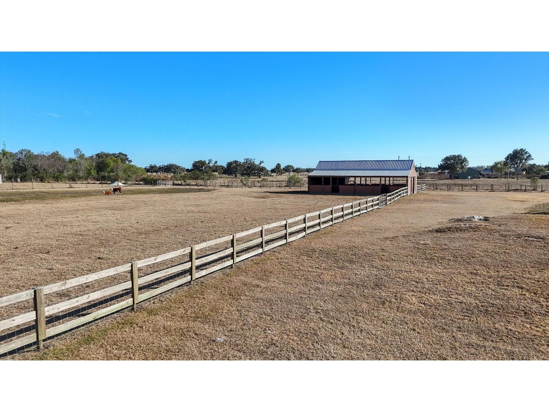 14325 Mj Road Myakka City FL 34251 A4683096 image63