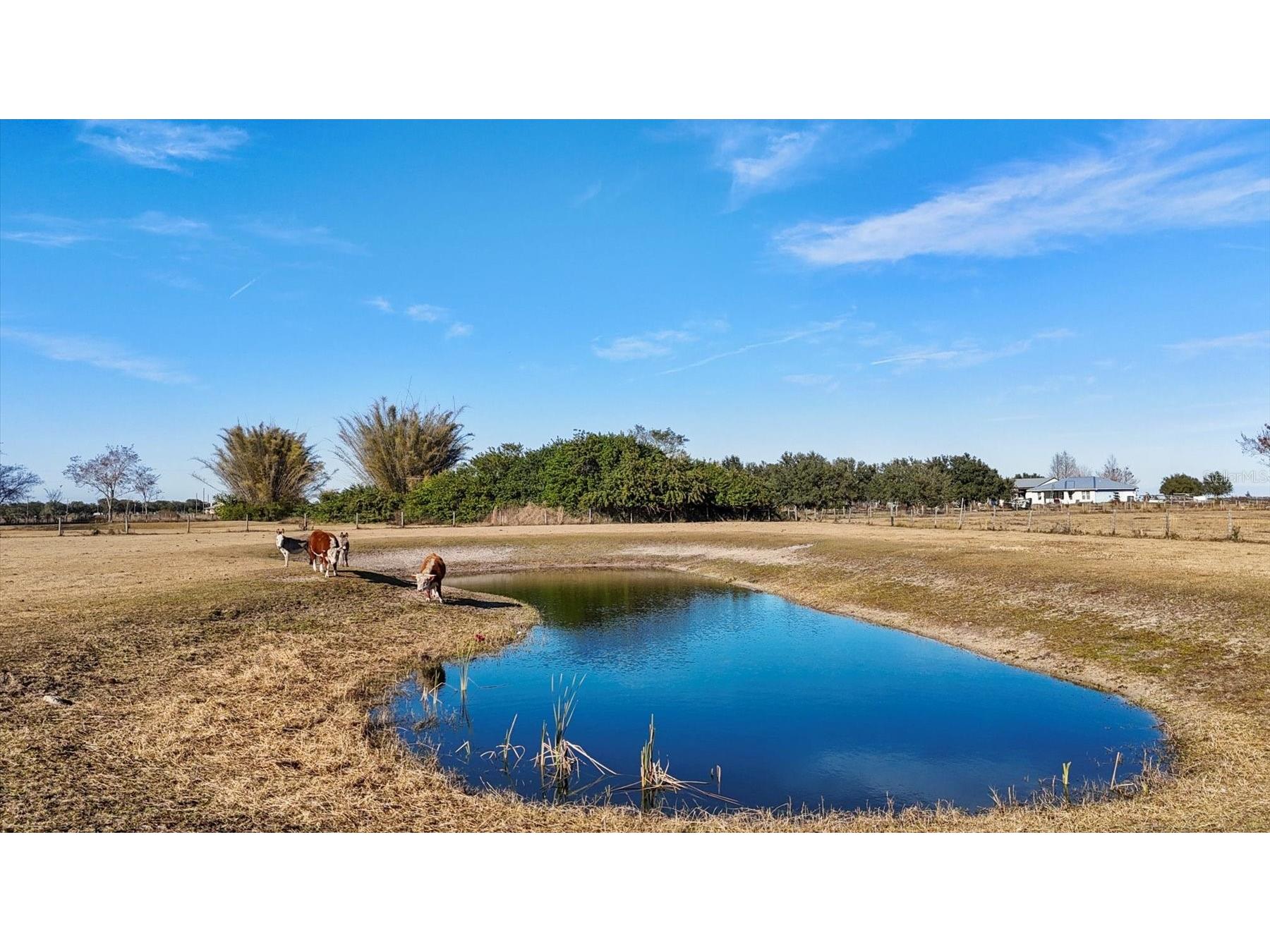 14325 Mj Road Myakka City FL 34251 A4683096 image67