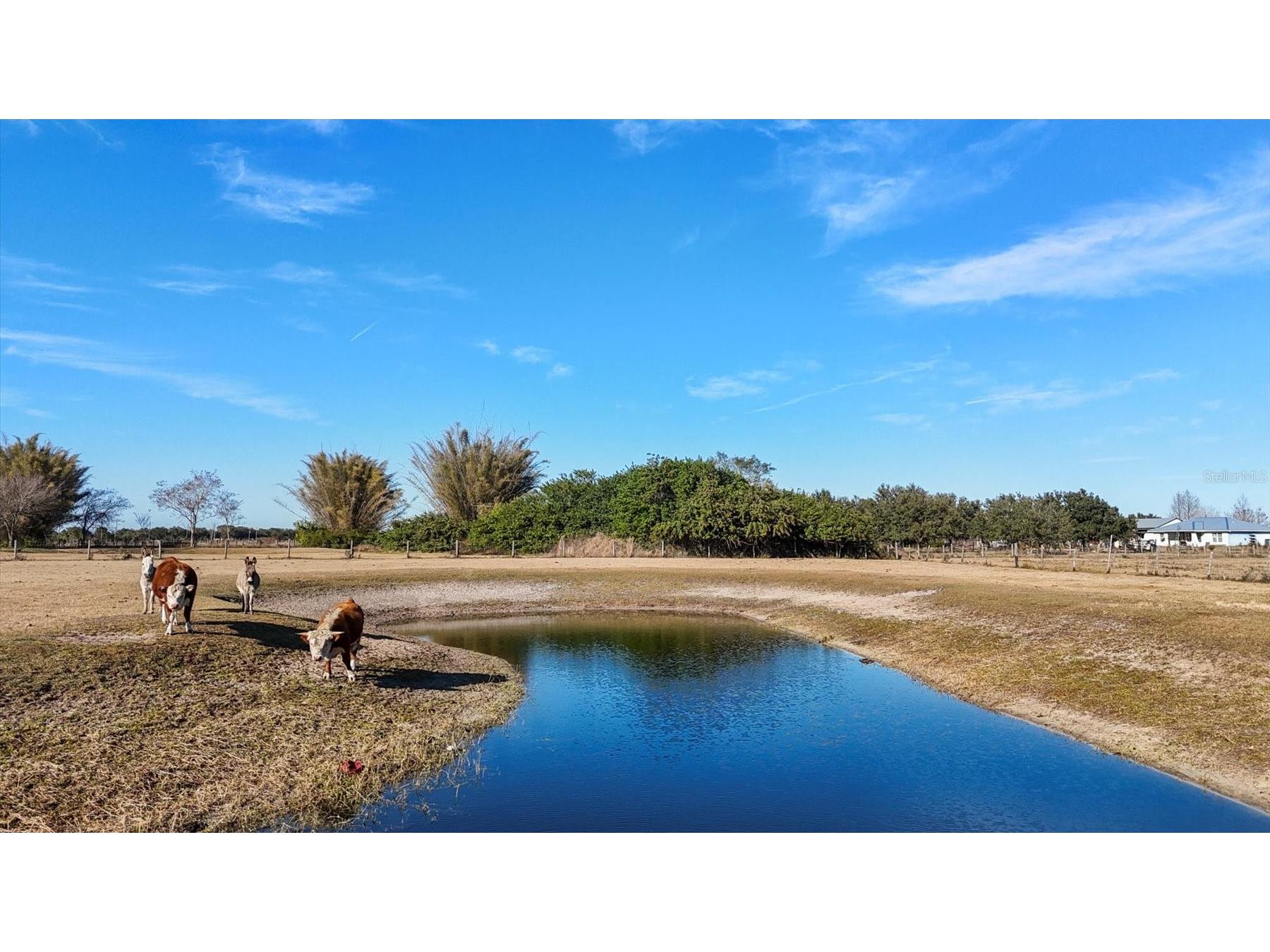 14325 Mj Road Myakka City FL 34251 A4683096 image68