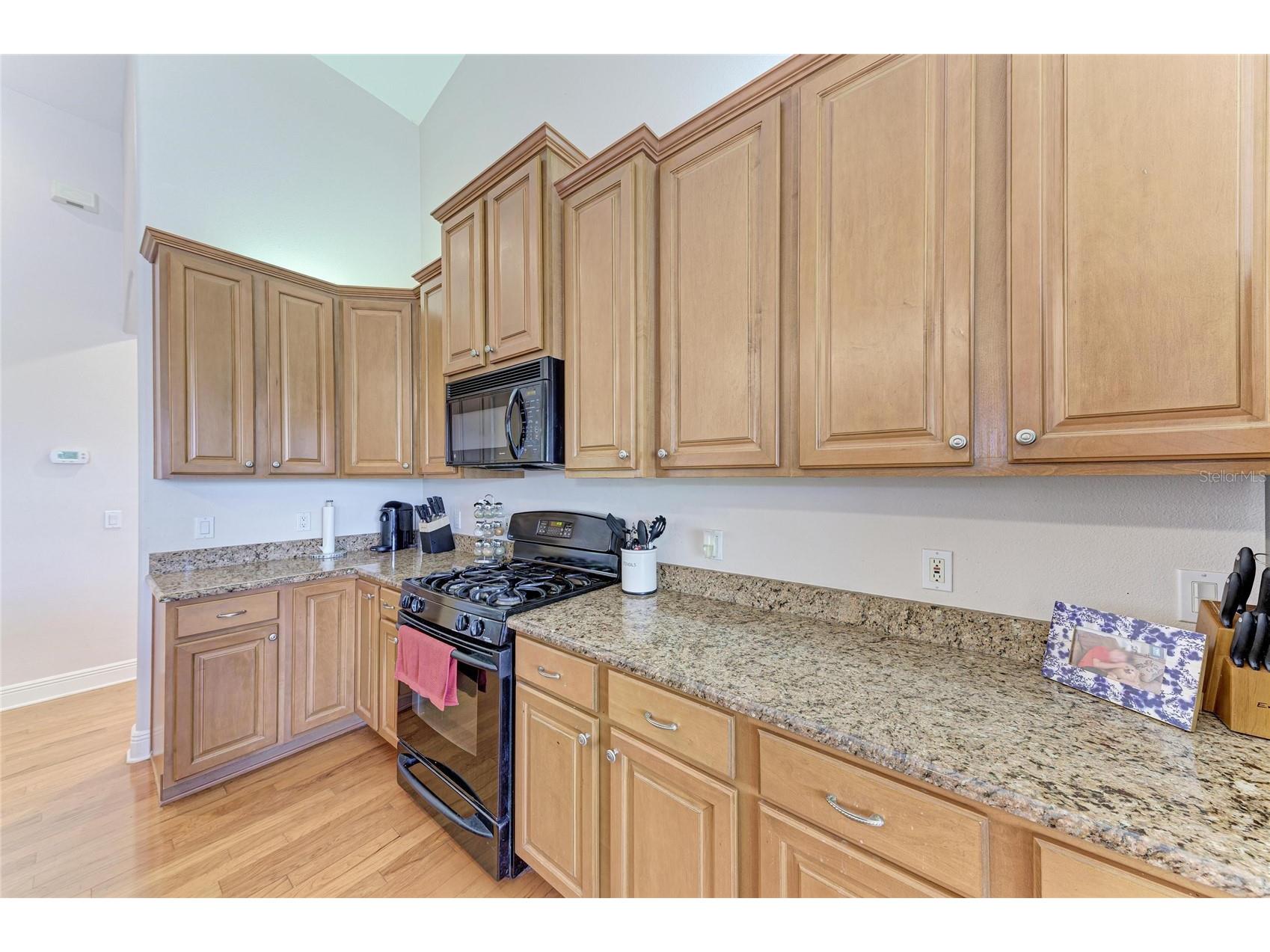 14325 Sundial Place Lakewood Ranch FL 34202 A4686524 image14