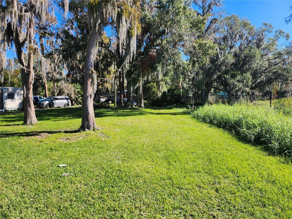 14328 Chisholm Lane Odessa FL 33556 - LAKE ANNE W7870396 image12