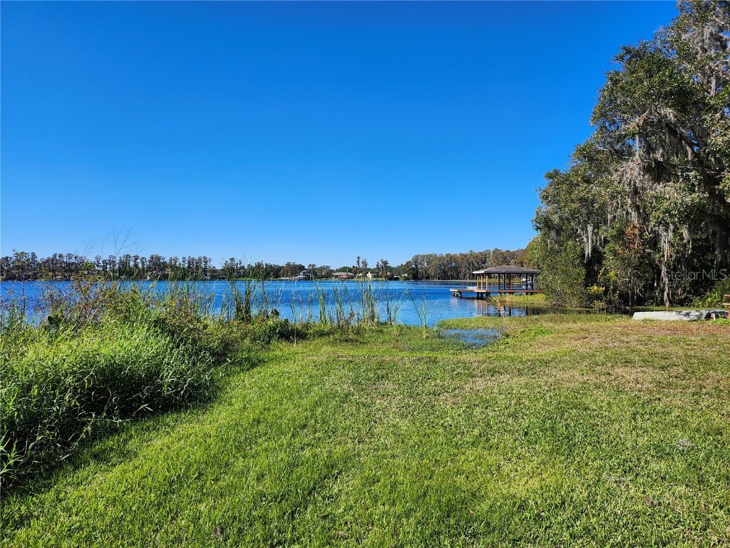 14328 Chisholm Lane Odessa FL 33556 - LAKE ANNE W7870396 image2