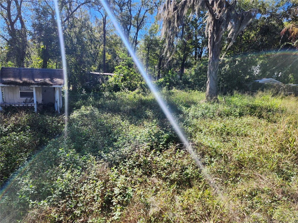 14328 Chisholm Lane Odessa FL 33556 - LAKE ANNE W7870396 image25