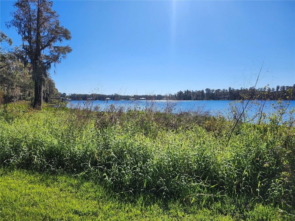 14328 Chisholm Lane Odessa FL 33556 - LAKE ANNE W7870396 image26