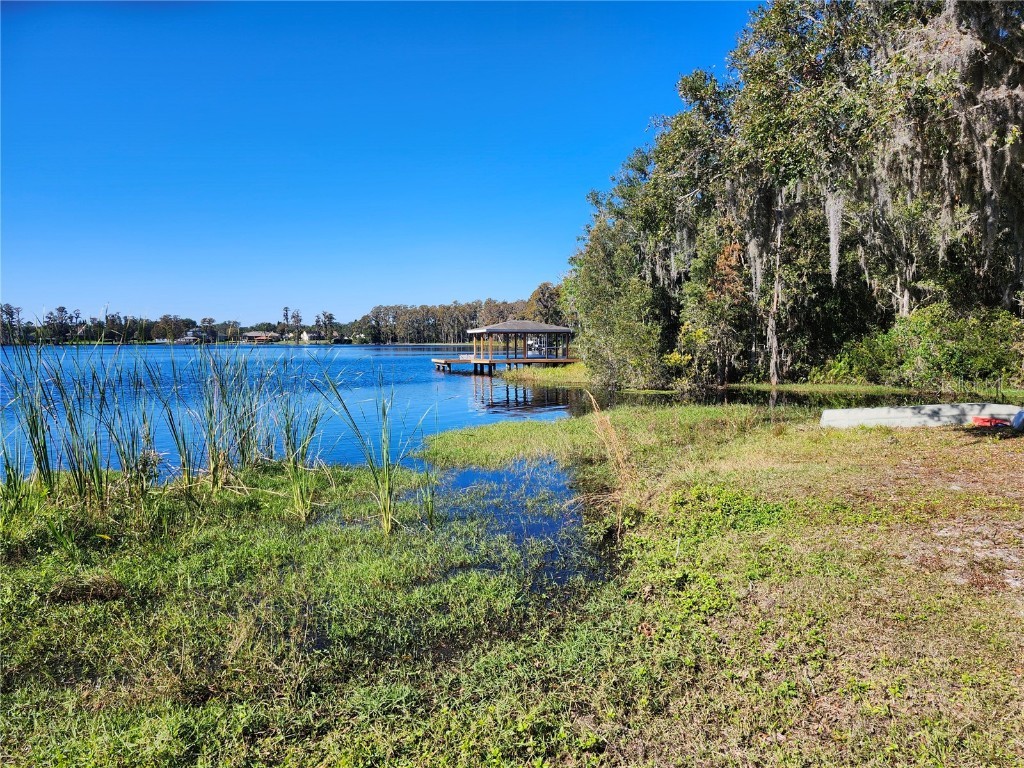 14328 Chisholm Lane Odessa FL 33556 - LAKE ANNE W7870396 image27