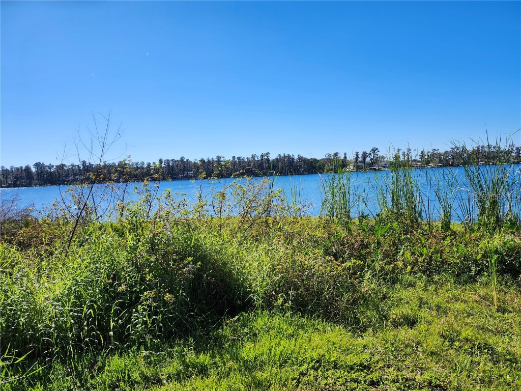 14328 Chisholm Lane Odessa FL 33556 - LAKE ANNE W7870396 image35