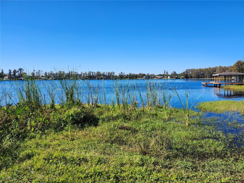 14328 Chisholm Lane Odessa FL 33556 - LAKE ANNE W7870396 image36