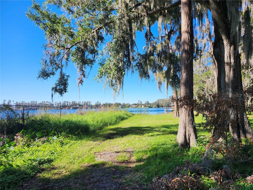 14328 Chisholm Lane Odessa FL 33556 - LAKE ANNE W7870396 image7