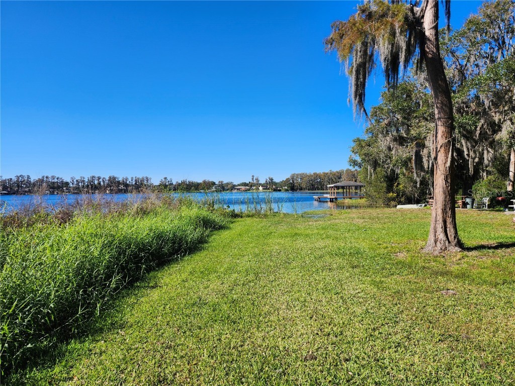 14328 Chisholm Lane Odessa FL 33556 - LAKE ANNE W7870396 image8