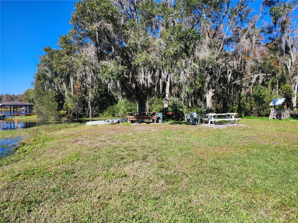 14328 Chisholm Lane Odessa FL 33556 - LAKE ANNE W7870396 image9