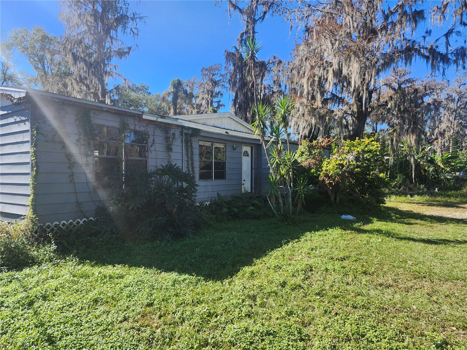 14328 Chisholm Lane Odessa FL 33556 W7883778 image5
