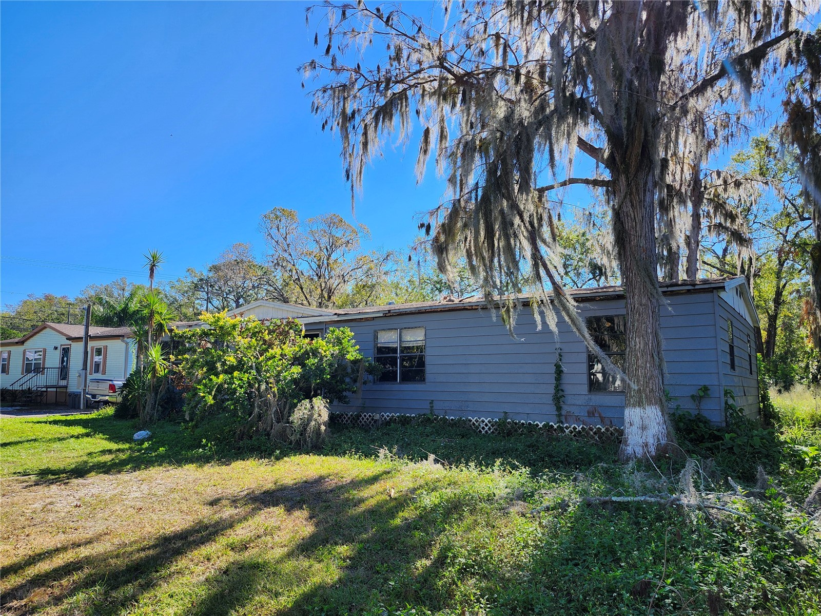 14328 Chisholm Lane Odessa FL 33556 W7883778 image6