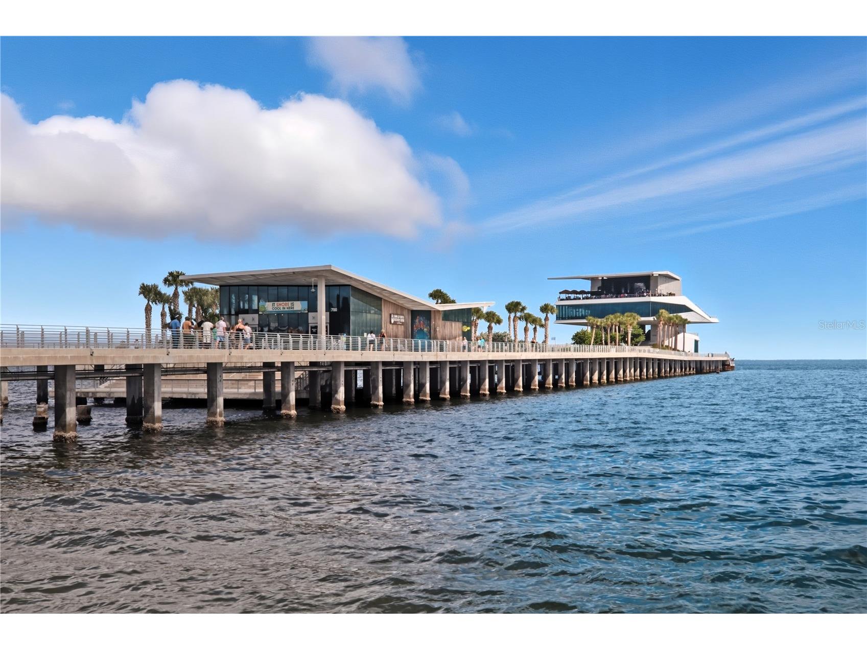 1433 27th Avenue S Saint Petersburg FL 33705 TB8436782 image35