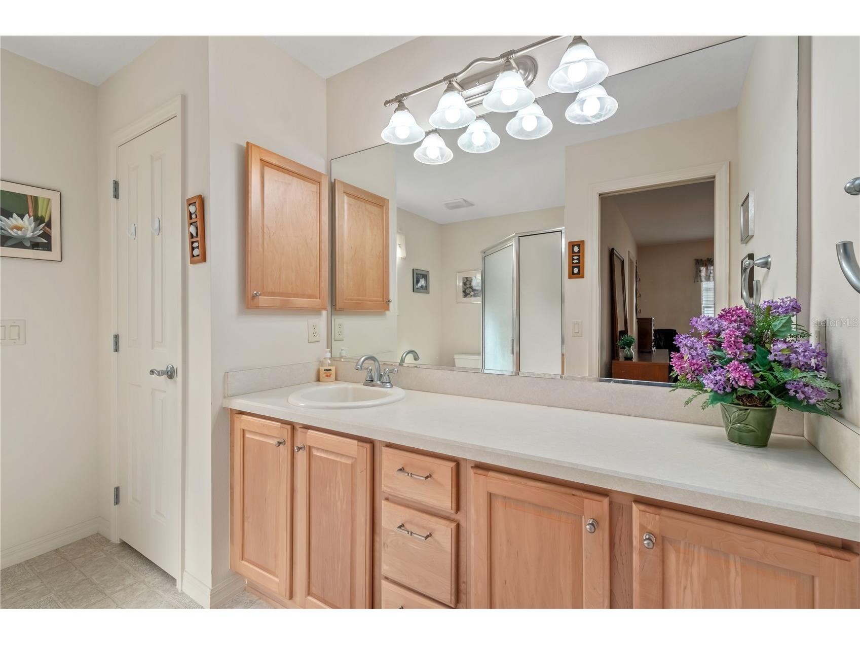 1433 Arbor Trail The Villages FL 32162 OM715023 image23