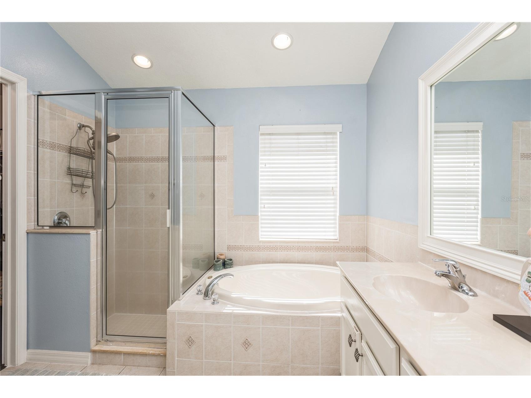 1433 Emerald Hill Way Valrico FL 33594 TB8470889 image20