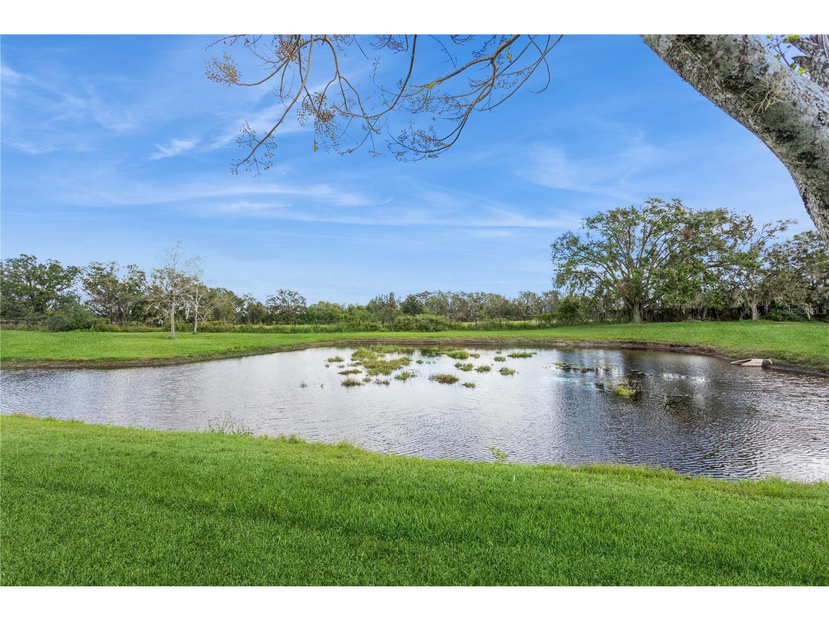 1433 Emerald Hill Way Valrico FL 33594 TB8470889 image35