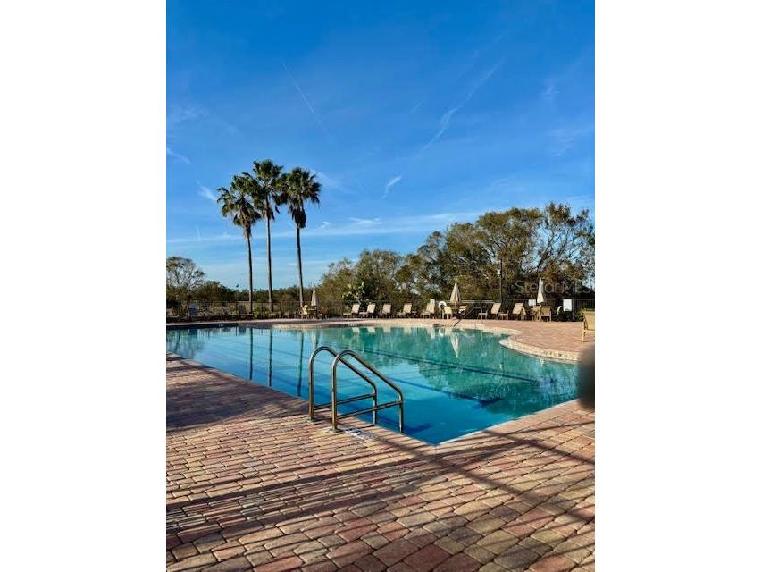 1433 Emerald Hill Way Valrico FL 33594 TB8470889 image37