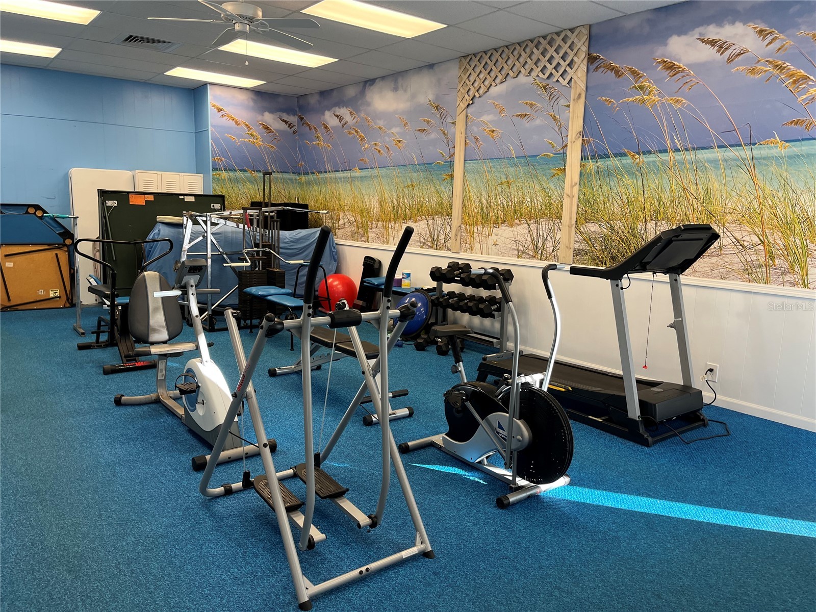 1433 N Atlantic Avenue #223 Daytona Beach FL 32118 NS1086822 image13