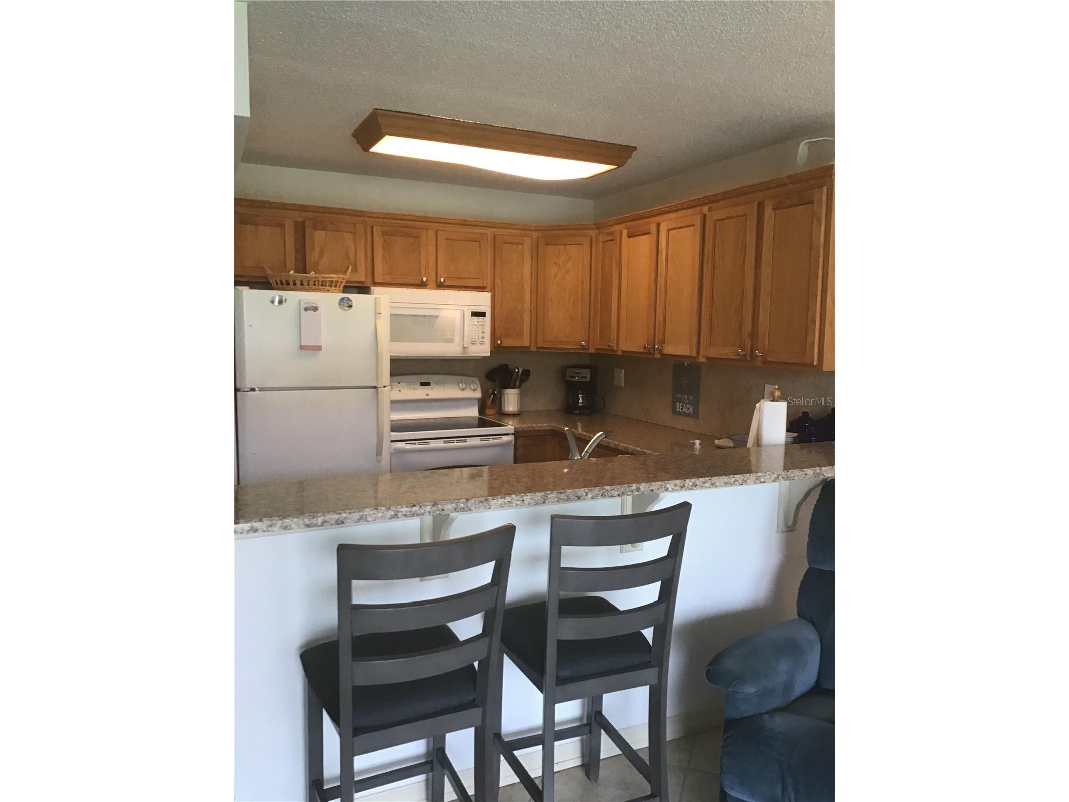 1433 N Atlantic Avenue #223 Daytona Beach FL 32118 NS1086822 image4