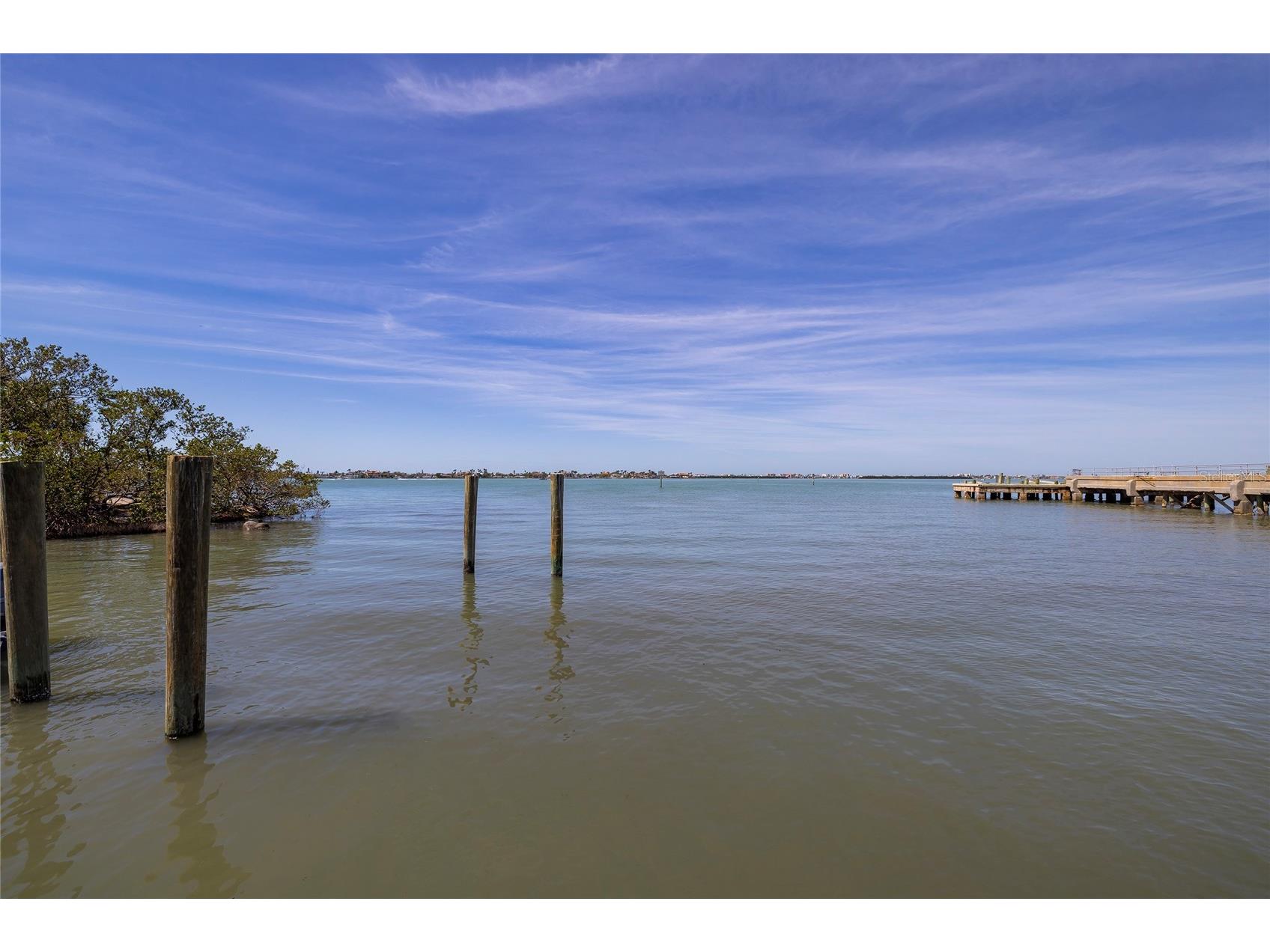 1433 Park Street N Saint Petersburg FL 33710 TB8480849 image80