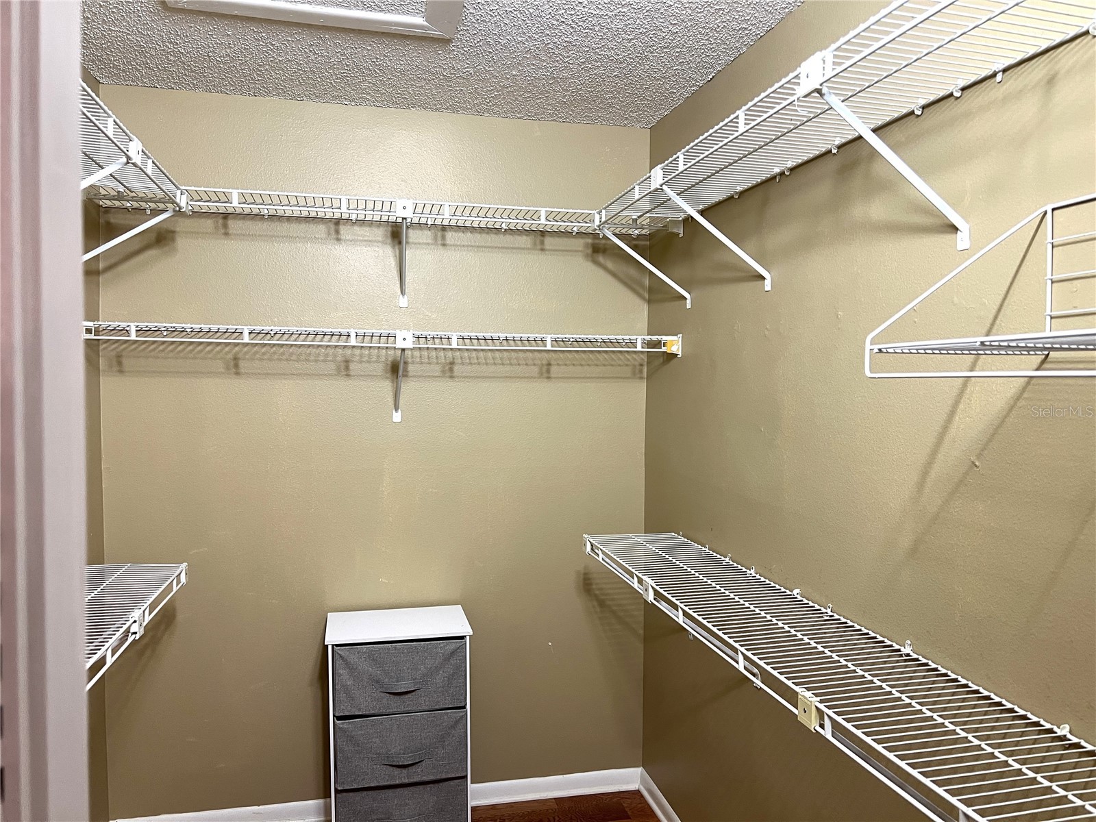 1433 Pine Glen Place #G2 Tarpon Springs FL 34688 TB8514318 image36