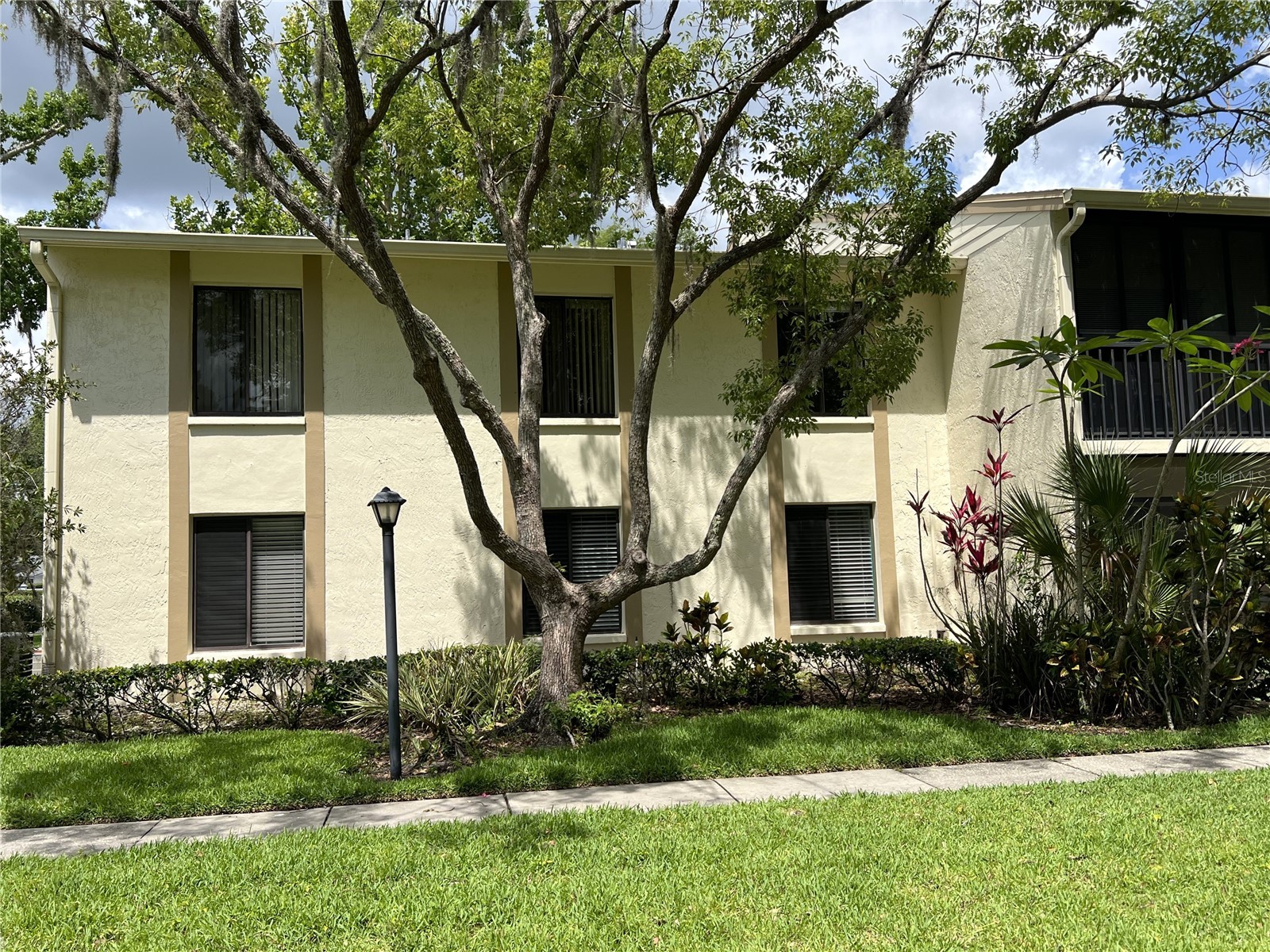 1433 Pine Glen Place #G2 Tarpon Springs FL 34688 TB8514318 image39