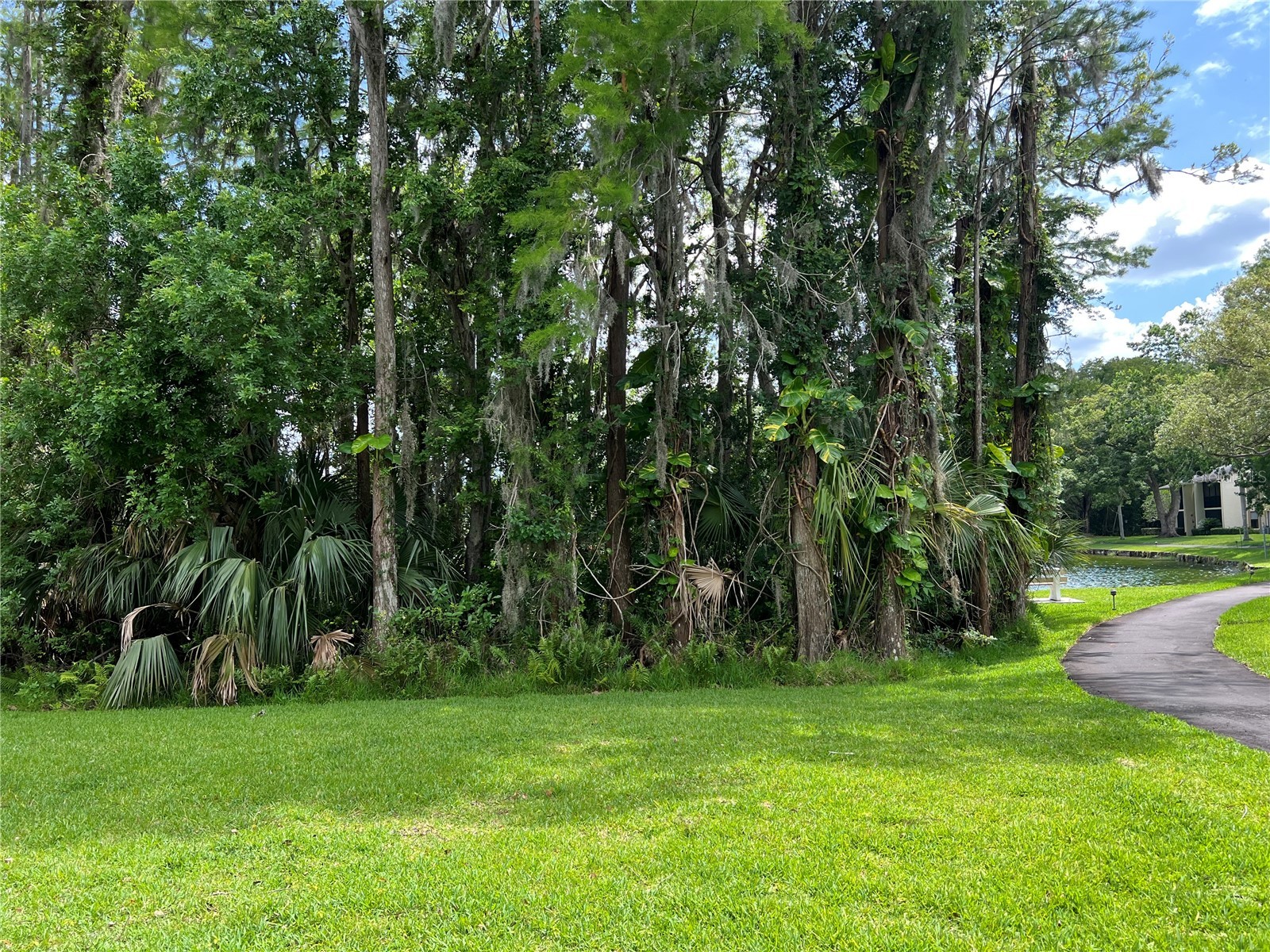 1433 Pine Glen Place #G2 Tarpon Springs FL 34688 TB8514318 image40