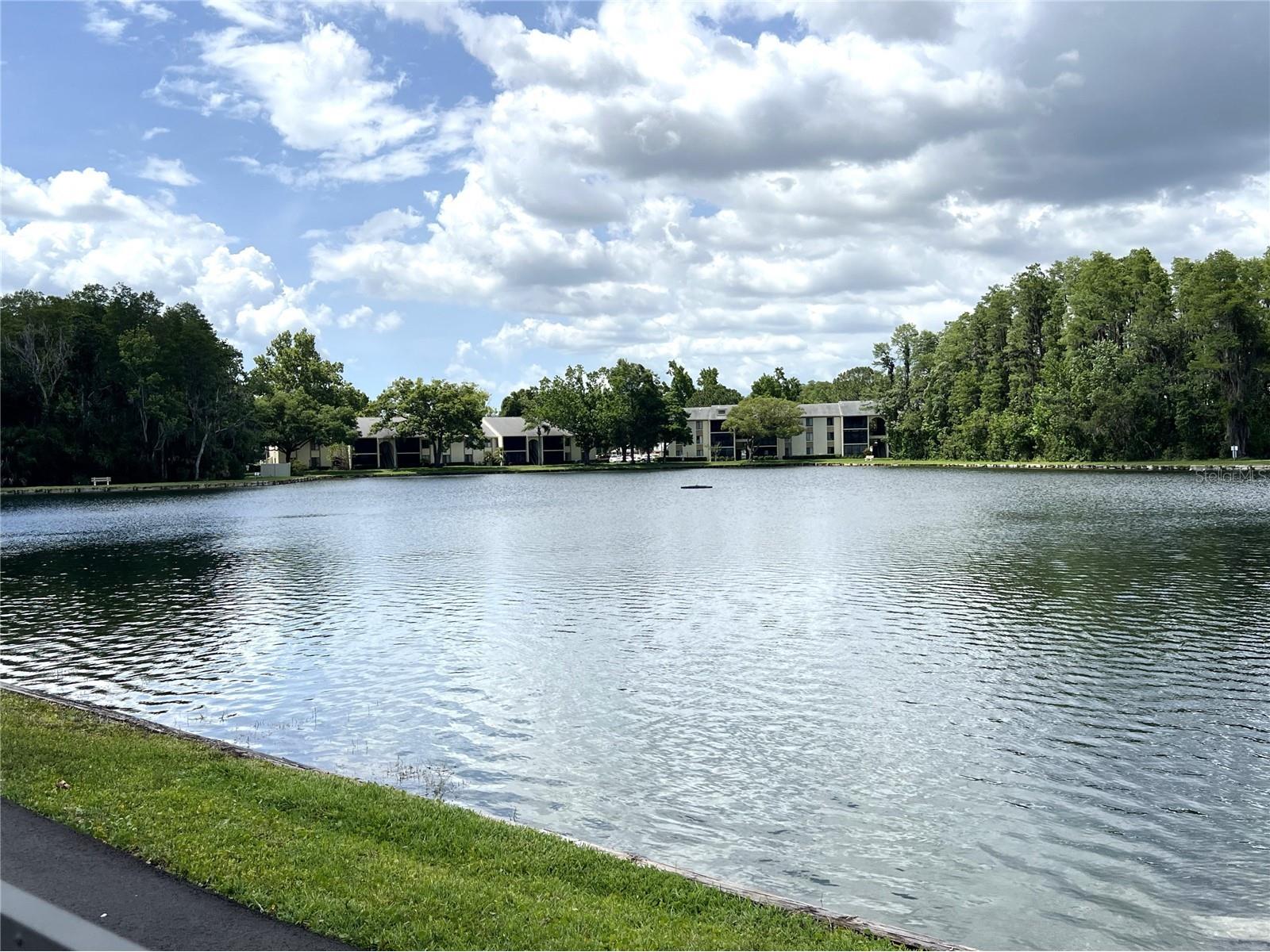 1433 Pine Glen Place #G2 Tarpon Springs FL 34688 TB8514318 image44