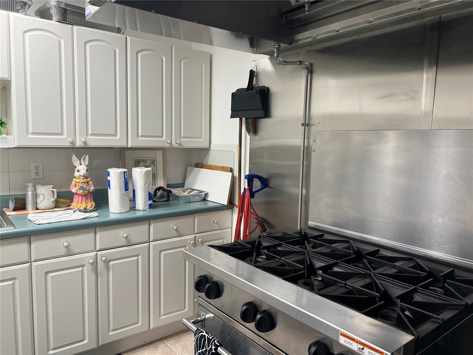 1433 Pine Glen Place #G2 Tarpon Springs FL 34688 TB8514318 image49