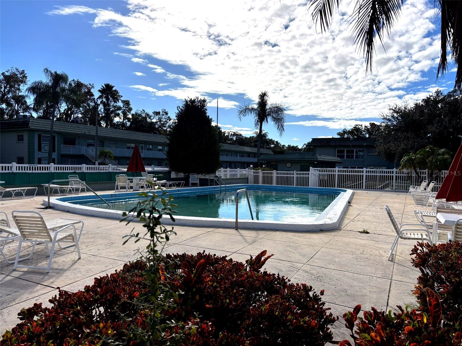 1433 S Belcher Road #B2 Clearwater FL 33764 TB8472352 image19