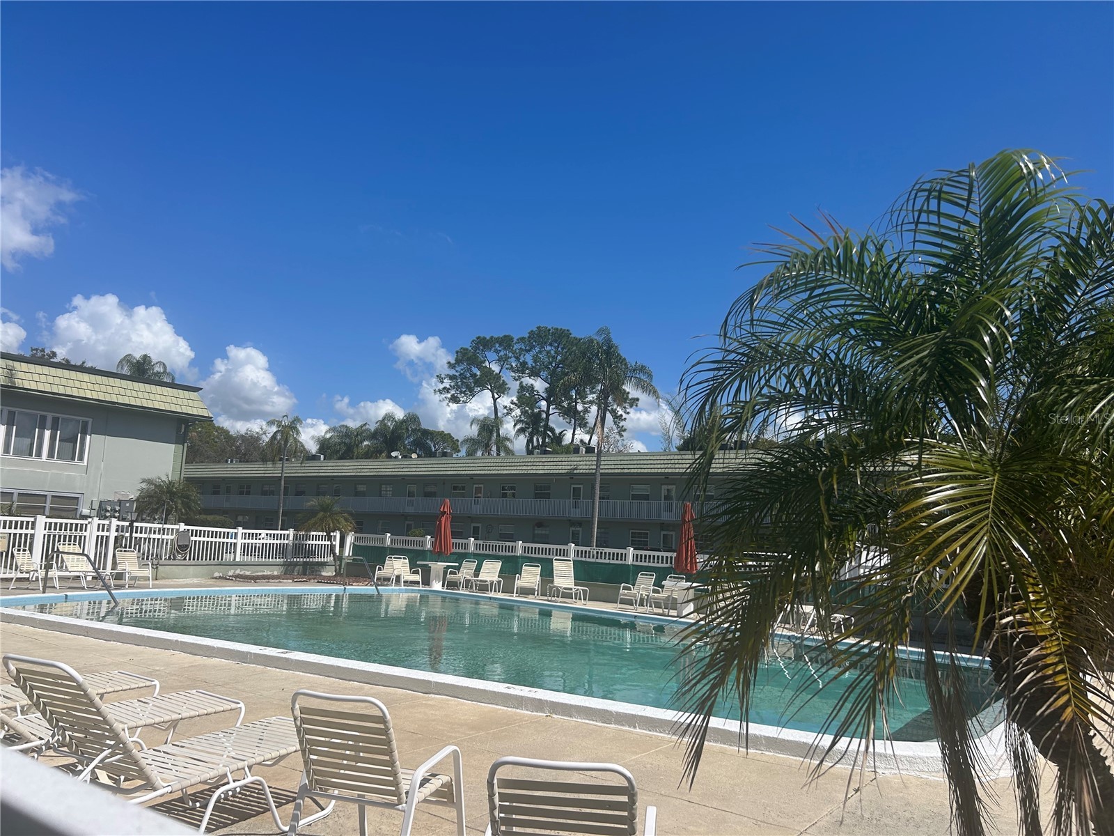 1433 S Belcher Road #B7 Clearwater FL 33764 A4689296 image4