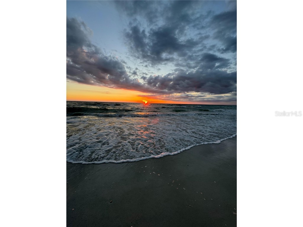 1433 S Belcher Road #C1 Clearwater FL 33764 O6215336 image18