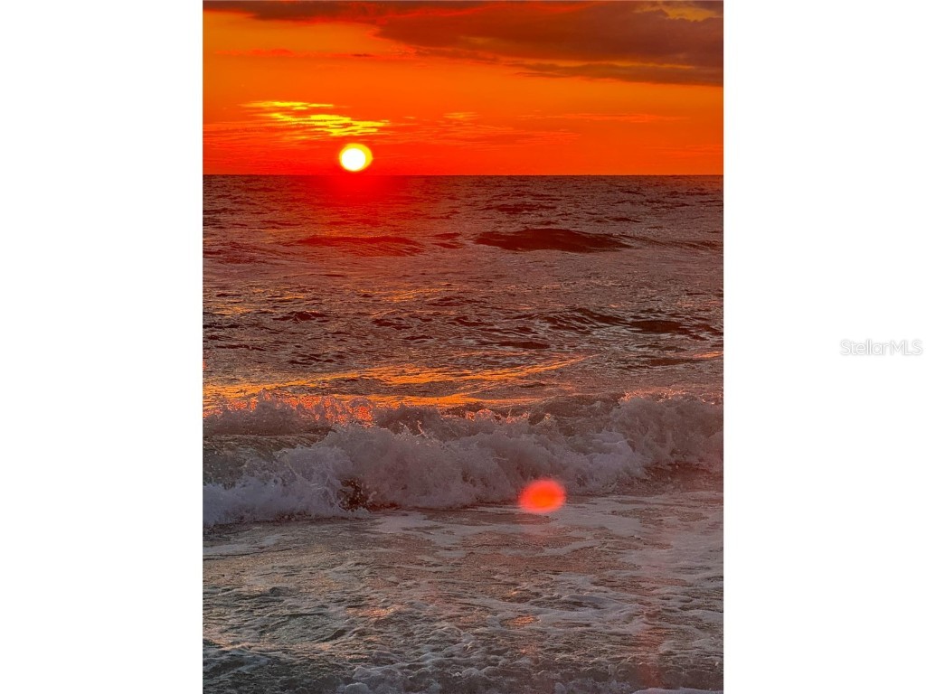 1433 S Belcher Road #C1 Clearwater FL 33764 O6215336 image19