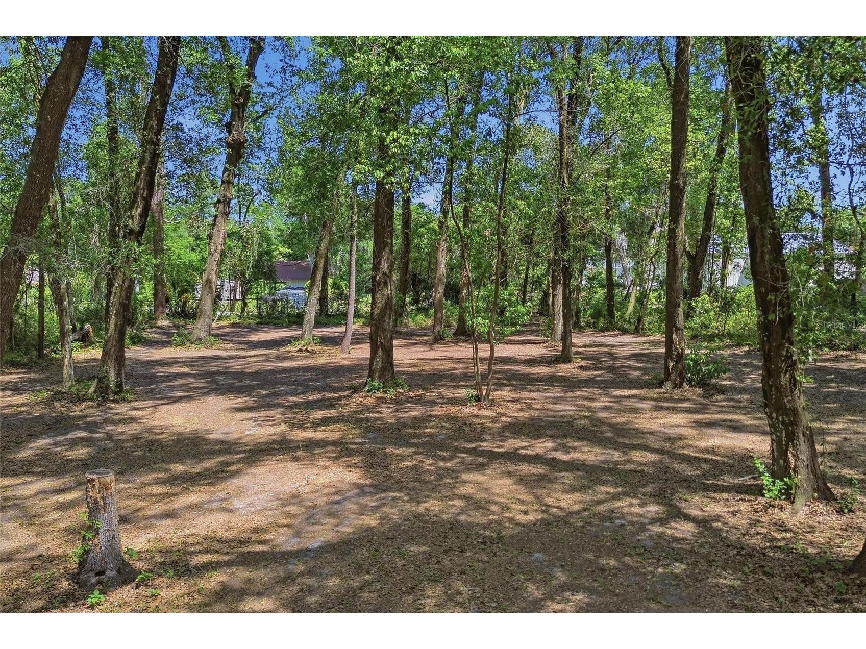 1433 S Ridgewood Avenue Deland FL 32720 V4948465 image37