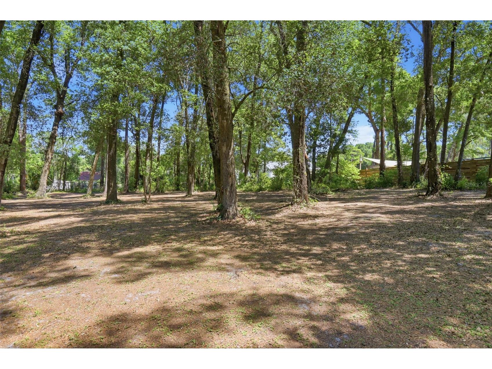 1433 S Ridgewood Avenue Deland FL 32720 V4948465 image49