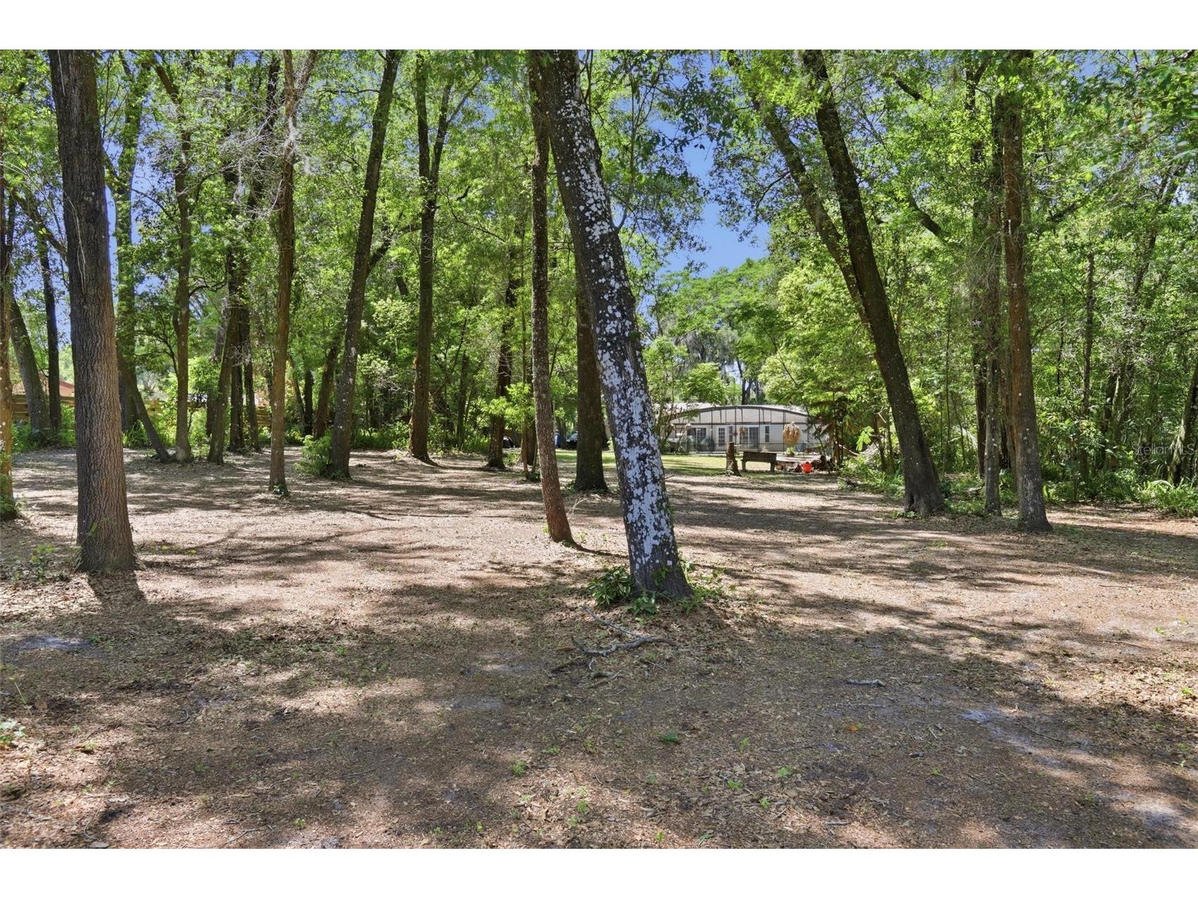 1433 S Ridgewood Avenue Deland FL 32720 V4948465 image51