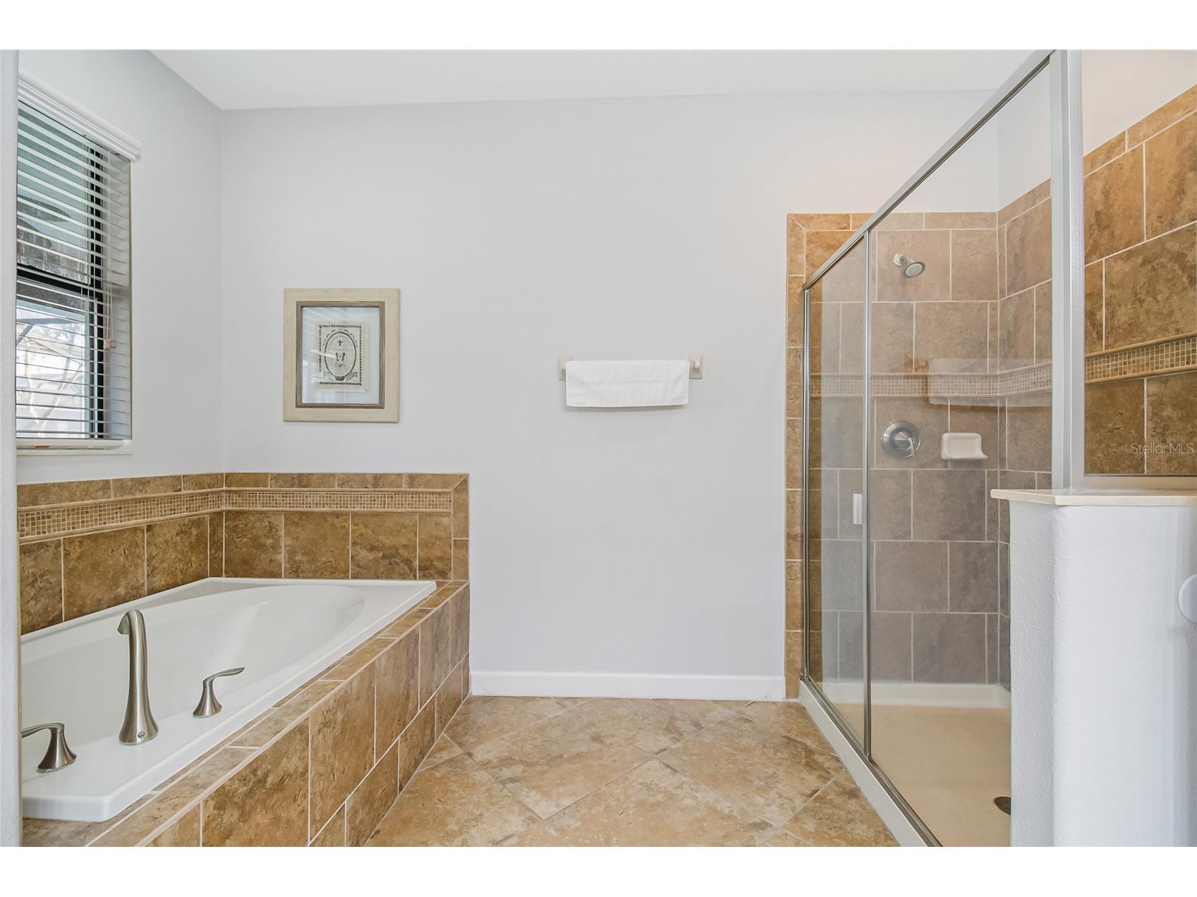 1433 Thunderbird Road Davenport FL 33896 S5141797 image20