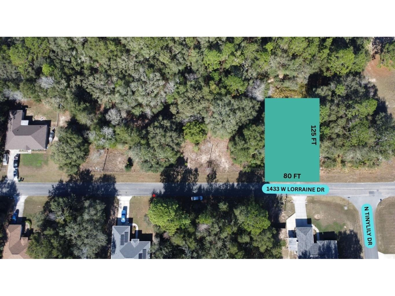 1433 W Lorraine Drive Citrus Springs FL 34434 W7881429 image1