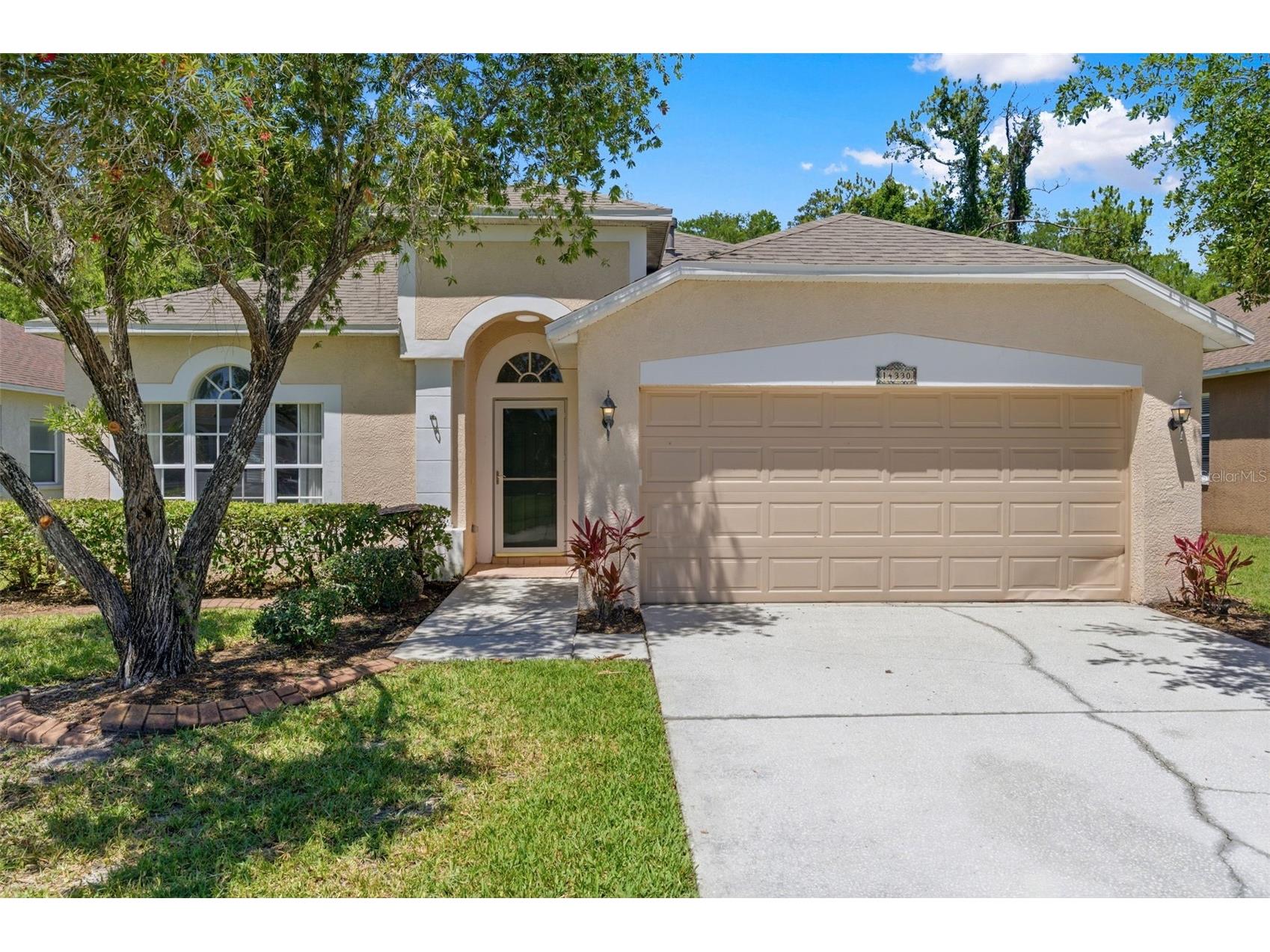 14330 Moon Flower Drive Tampa FL 33626 TB8509405 image1