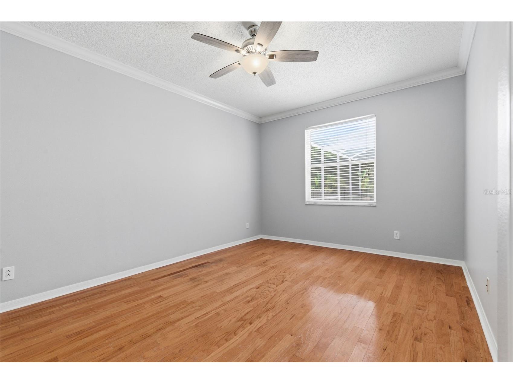 14330 Moon Flower Drive Tampa FL 33626 TB8509405 image38